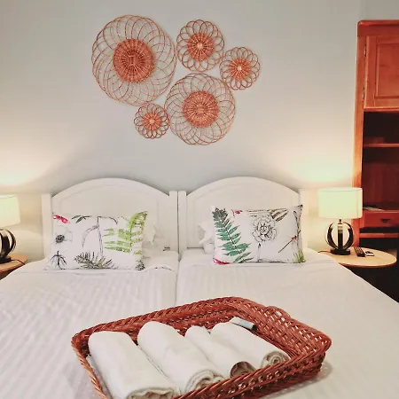 شقة فندقية Aspa - Urban Conscious Living فونشال